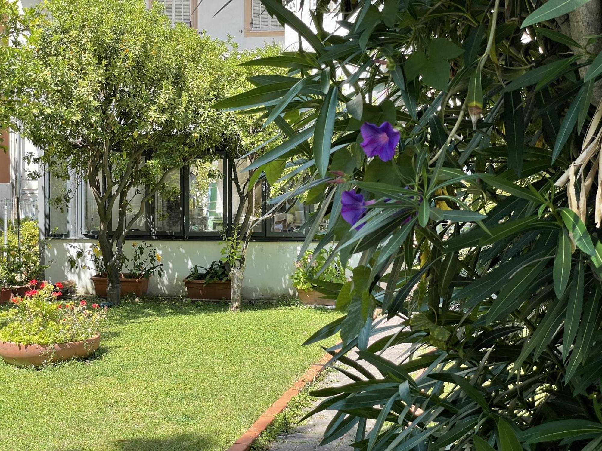 Hotel Rosalia Bordighera Exterior photo